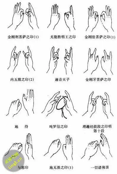佛教的手印-佛教的各种手印