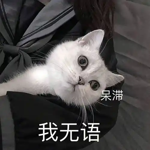 奇奇怪怪的表情包:帅哥心烦_公众_熊猫头_不知道