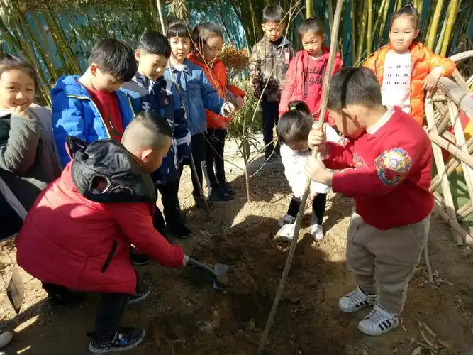 【 植绿 护绿 爱绿 】开发区中心幼儿园植树节实践活动
