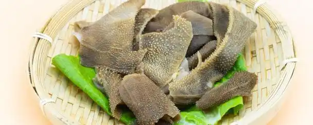 羊百叶怎么做好吃 羊百叶怎么做才好吃 - 311品牌大全