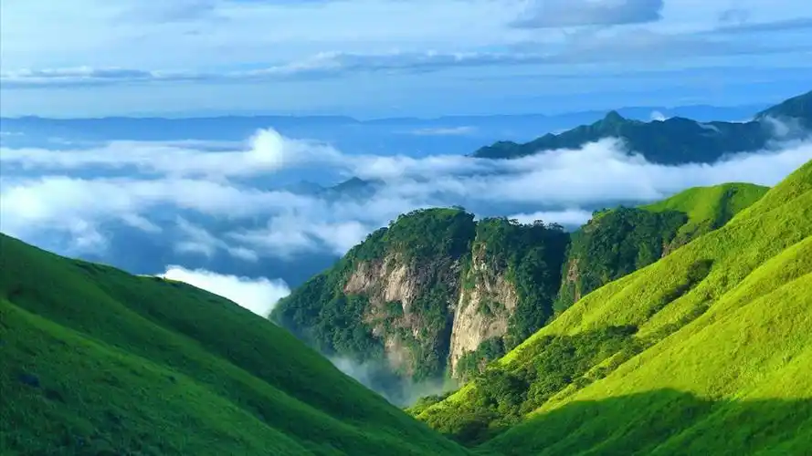 桌面绿色风景壁纸大全护眼