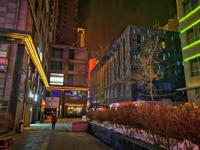 它是西宁市最漂亮的步行街,夜晚灯光璀璨,就是冬天游客少了点