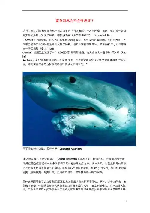 (广东)广东省深圳市中学2016高考化学二轮复习(热门素材 练习)鲨鱼