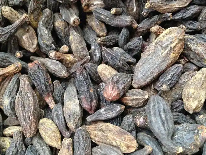 西藏特产野生特级藏青果中药材养胃治胃病正品半斤装三份包邮全国