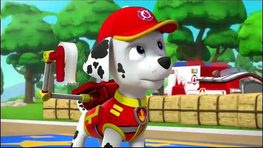 汪汪队立大功市长的脚受伤了毛毛用绷带将他的腿包扎起来