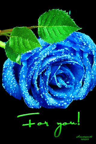 gif# #鲜花# #玫瑰