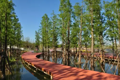 上海浦江郊野公园(上集)