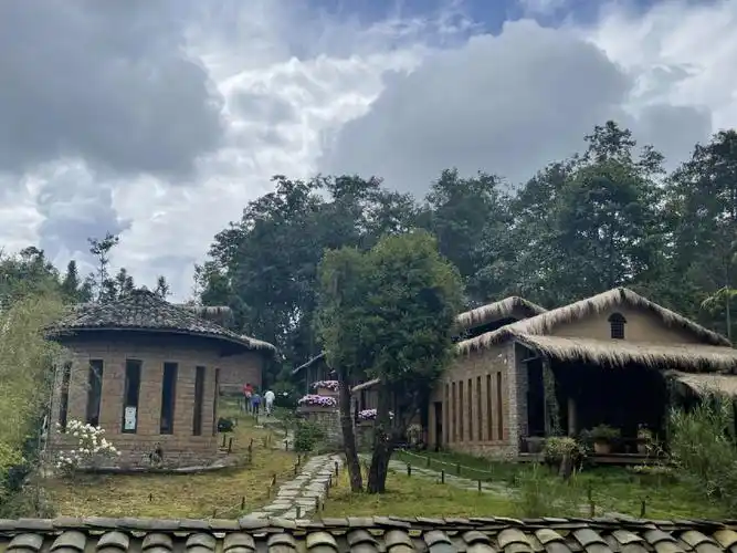 腾冲探店大地茶海