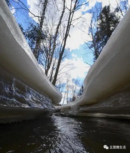 冰雪融化春暖花开