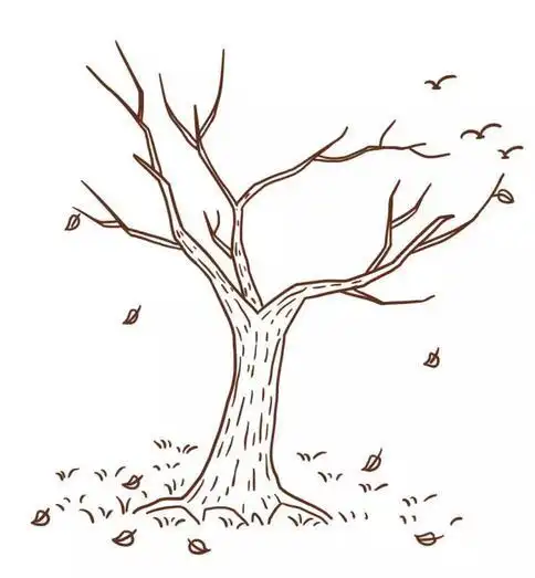 冬天里的一棵大树简笔画