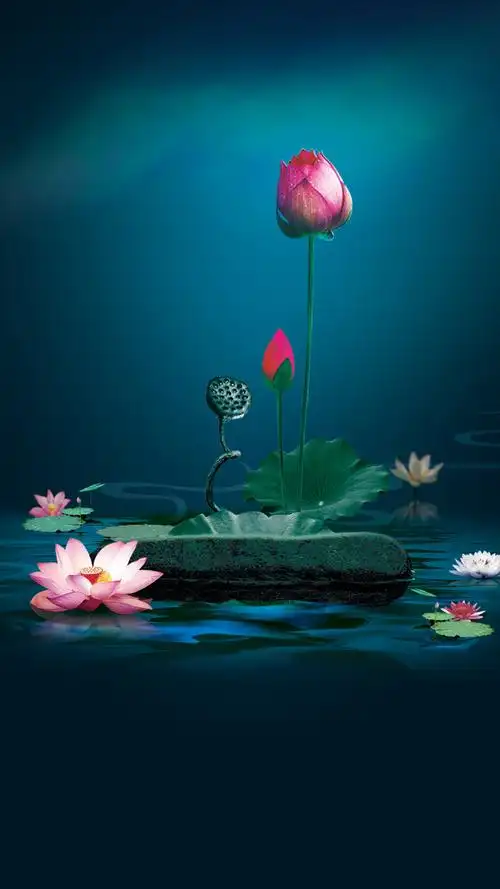 古典荷花梦幻背景