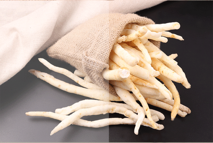 沙参批发中药材 优质无硫沙参 散装500g煲汤炖料火锅底料滋补沙参