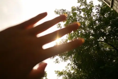 指尖里的一缕阳光