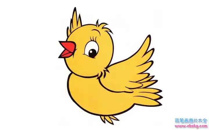 彩色小鸟简笔画画法怎么画彩色小鸟的简笔画