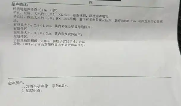 昭通一民营医院孕检结果与公立医院相悖,胎儿或陷畸形风险
