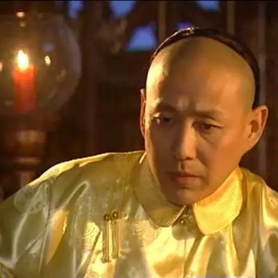 陈道明康熙王朝访谈