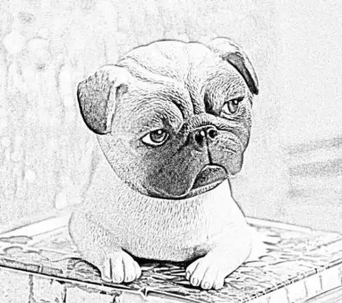 沙皮狗霸气简笔画