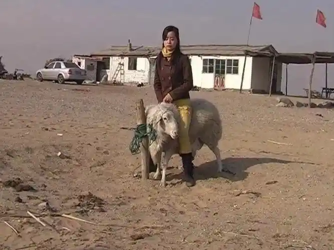 karli作品-欣欣骑羊