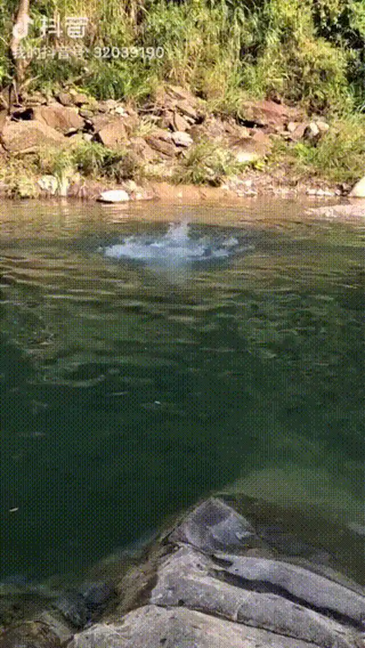 美女游泳居然泳衣掉水里了,太美了