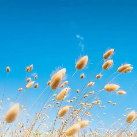 绝美的风景头像唯美风景图片