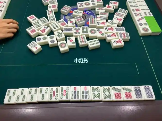 川麻龙七小对断幺九自摸三家