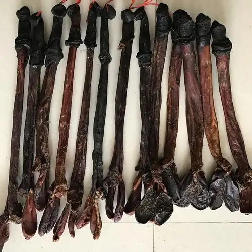 驴鞭大黑驴鞭干自然风干男女养生煲汤泡酒1条磨粉【】 图片色【图片