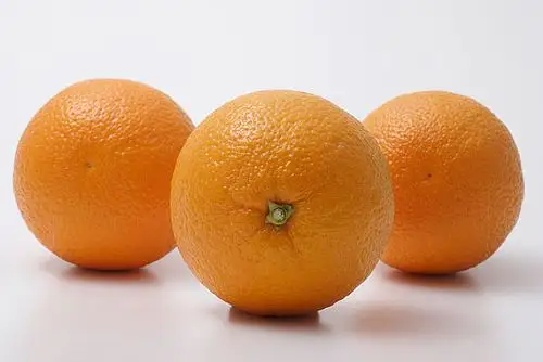 组物体图片_全景网