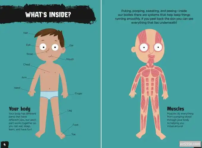 全年龄段grossandghastlyhumanbody令人毛骨悚然的人体dk精品英文绘本