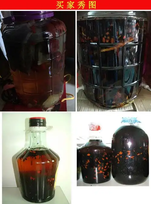 广西横县大黑蚂蚁 正宗野生拟黑多刺蚁 送泡酒袋蚂蚁贴 250克