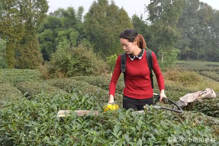 农村女人干起活来,真的没有男人什么事!