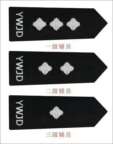 最新| 义乌推出辅警警衔制,首批共有442人获得辅衔~_手机搜狐网