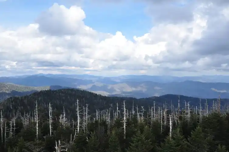 href="/item/美国/125486" data-lemmaid="125486">美国 /a>东部, a