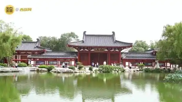 华清宫景区邀请了来自共建"一带一路"国家的友人和建设者共7对体验