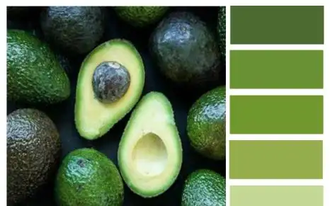 绿色加什么颜色变成深绿