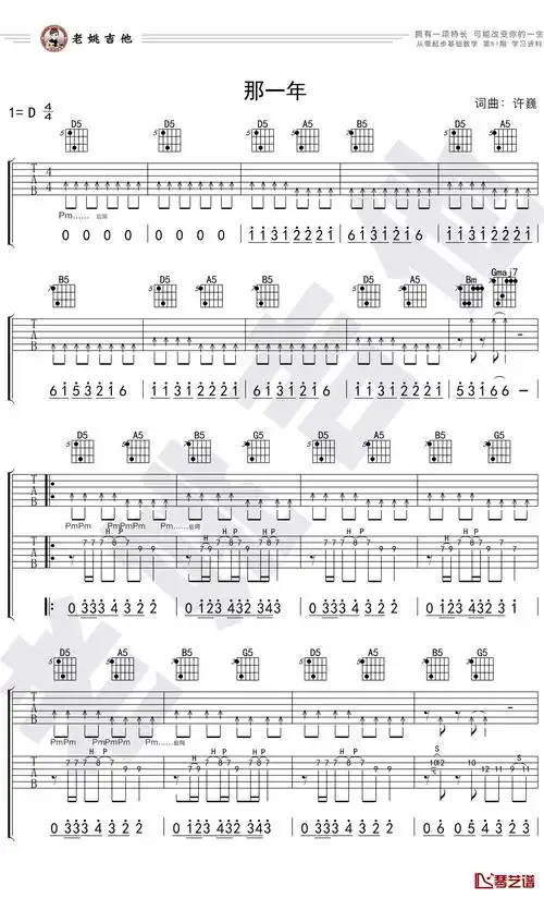 那一年吉他谱 d调指法 许巍 姚吉他出品1
