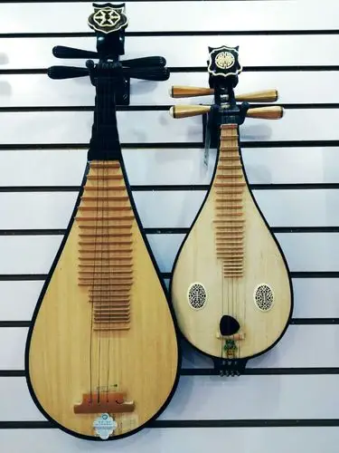 琵琶,柳琴"姐妹花"