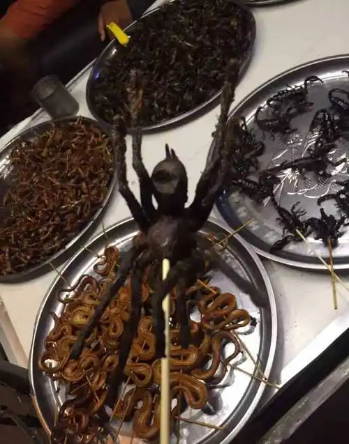 绝大多数的都集中在云南,这个地方在云南油炸蜘蛛是当地的一种美味,将