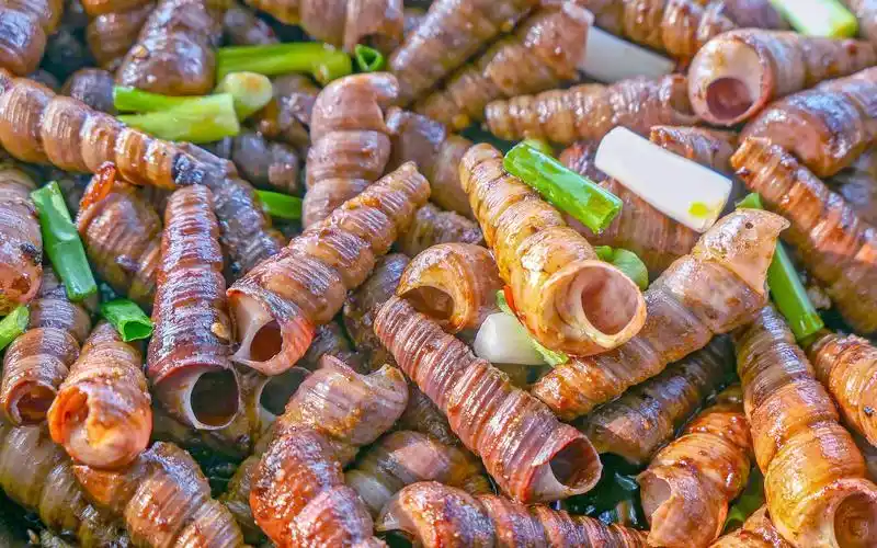 阳江夜宵档必吃的炒长尾螺,小伙一口气吸了一锅,真的太满足了_哔哩