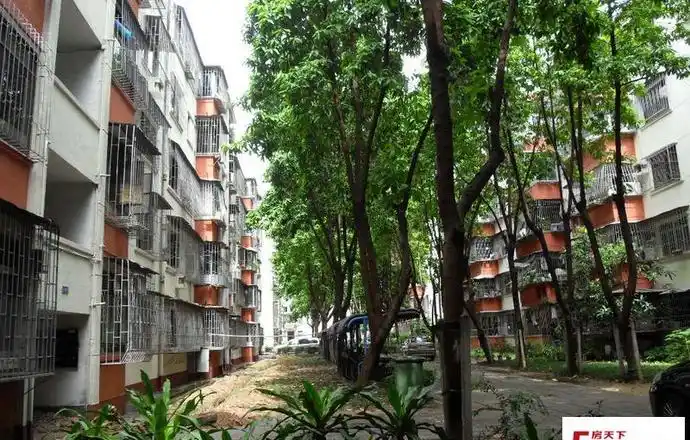 水湾b区小区租房,三室二厅,水湾区 三房出租 7500元,深圳南山蛇口租房