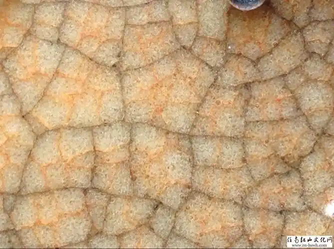 哥窑的金丝 铁线 碳化老化气泡【本人藏品】