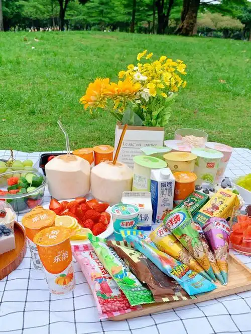露营美食带上五羊冰淇淋一起去野餐吧