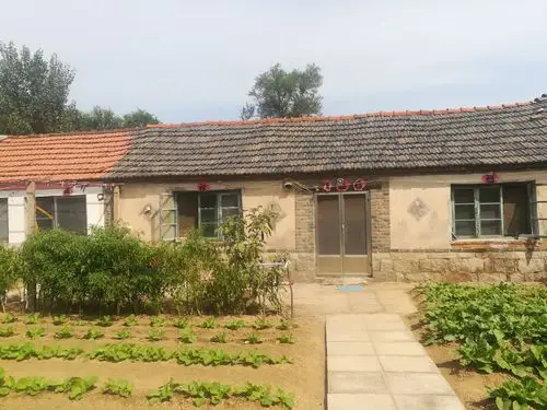 低矮的平房,温馨的庭院.绿油油的小菜,处处充满对生活的热爱.