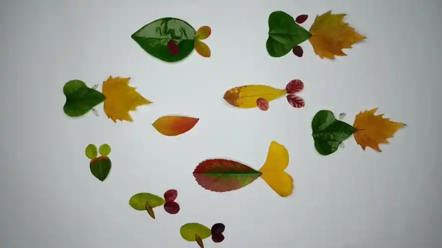 手工制作——树叶贴画之鱼    快来制作属于自己的时节印记吧