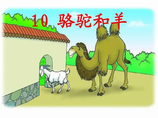 10骆驼和羊ppt