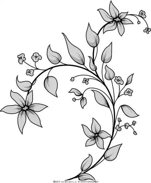 野生花卉简笔画