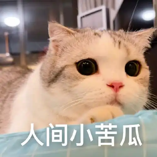 大眼萌妹小泡芙超话猫咪表情包超话泡芙表情包放送震惊猫咪一整年!