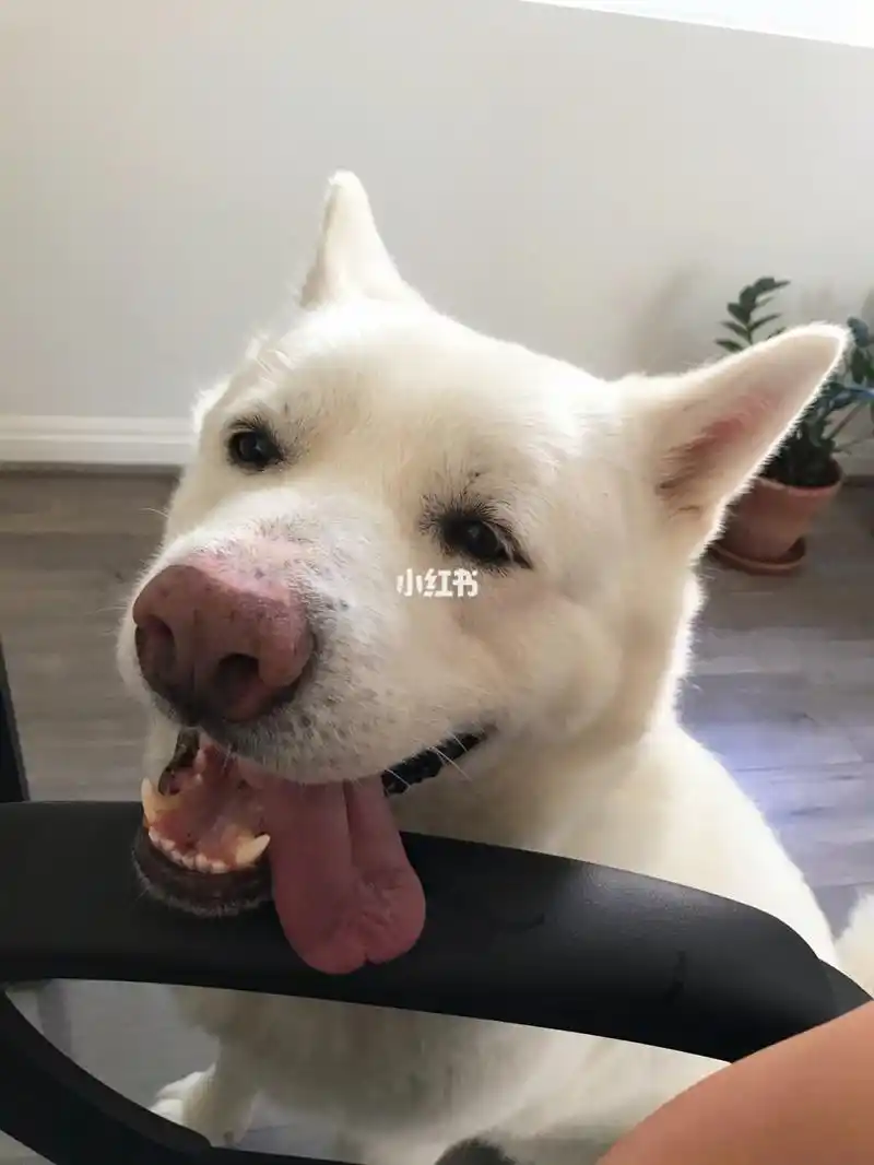 智障儿童欢乐多