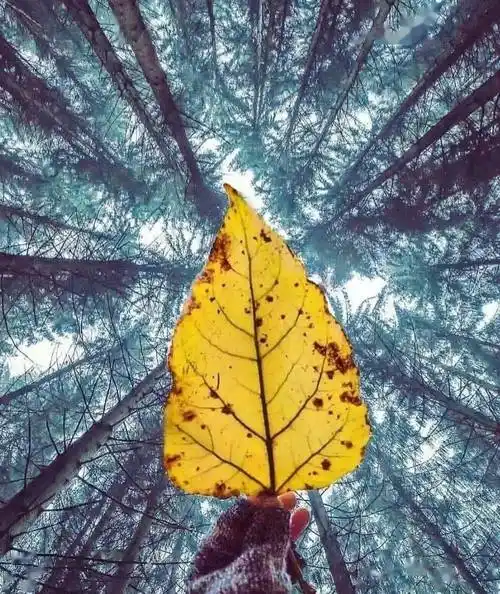 (豁然开朗)_心情