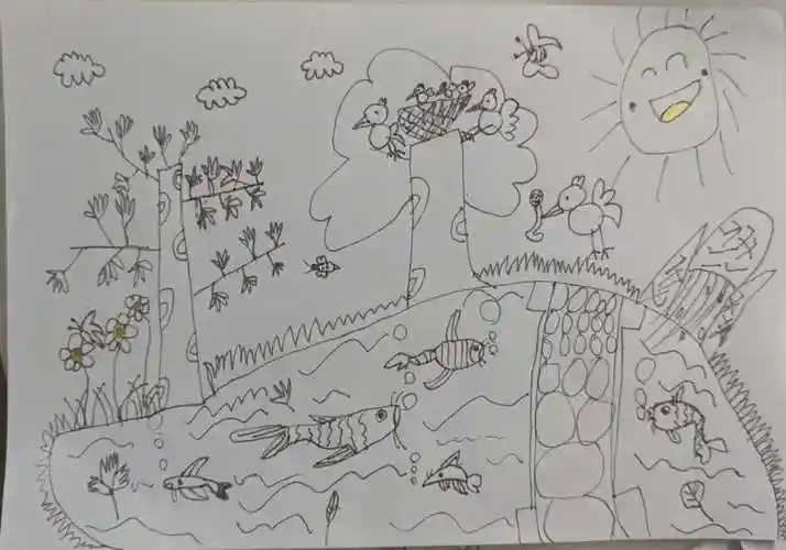 杭州两日半游龙井村,九溪十八涧,西湖