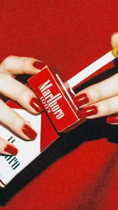 少女心红色壁纸玫瑰不叫玫瑰亦无损其芳香